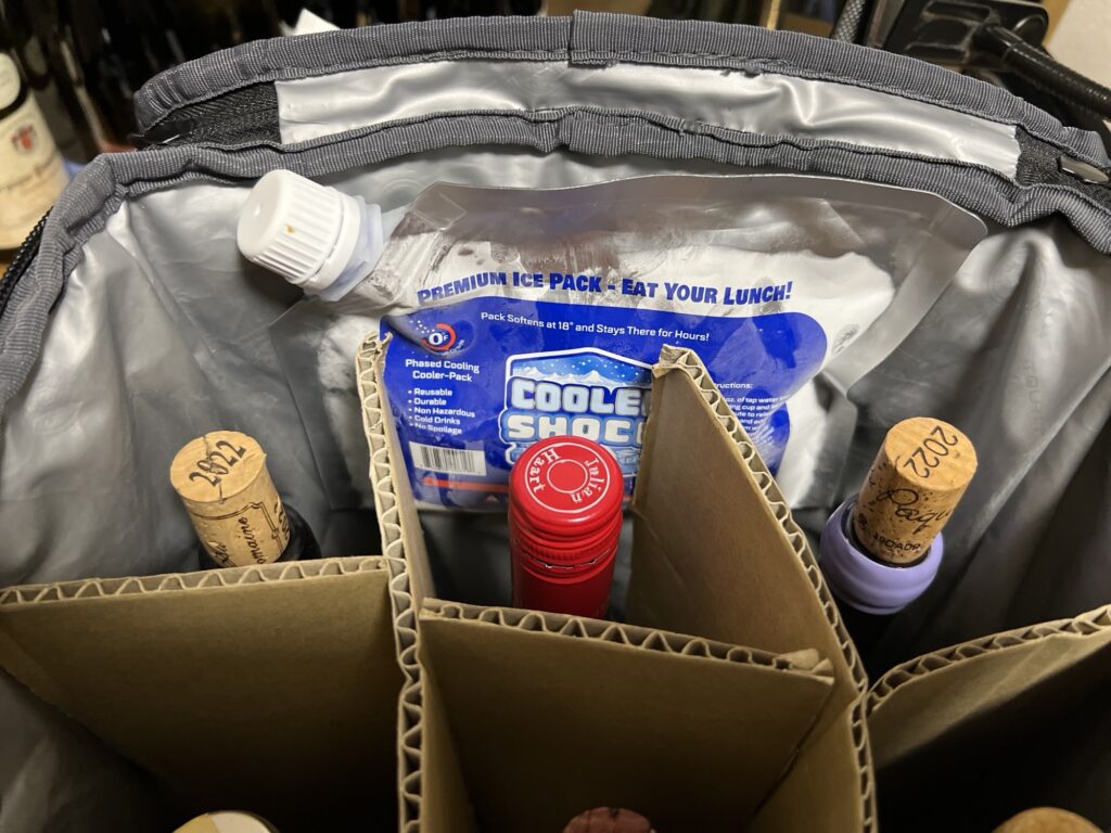 保冷リュックに入ったクーラーショック