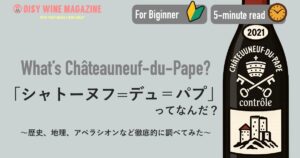 初心者のための「シャトーヌフ＝デュ＝パプ」のワインってなんだ？【5分でわかる入門編】