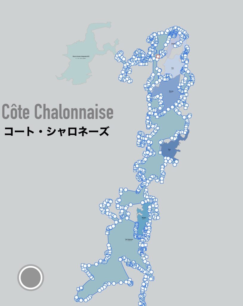 コーチ・シャロネーズ作成中